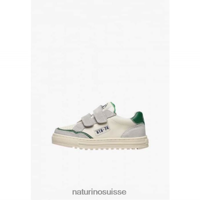 gris vert